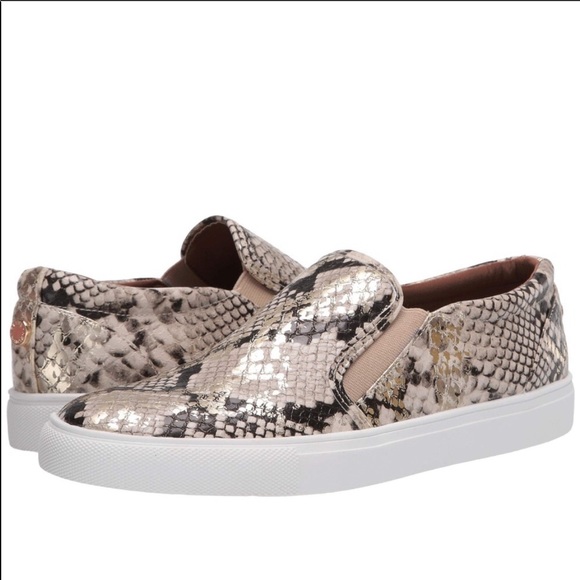 steve madden snake slip ons